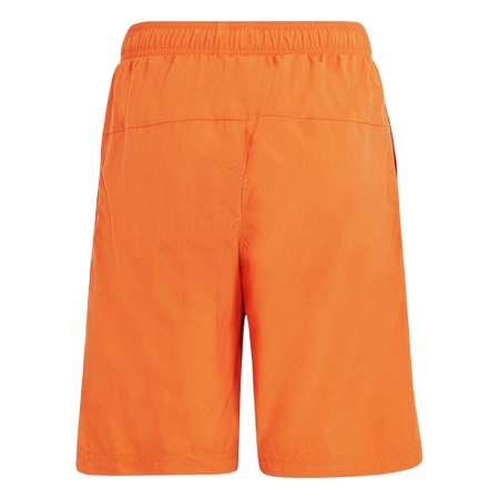 adidas Adventure Shorts