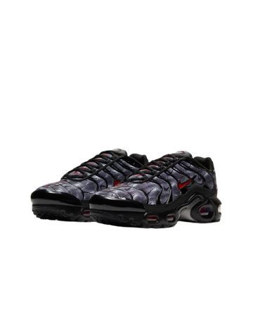 NIKE AIR MAX PLUS GS