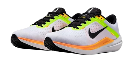 NIKE AIR WINFLO 10