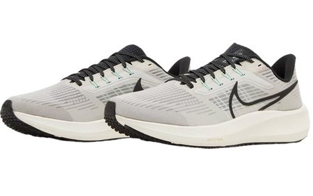 NIKE AIR ZOOM PEGASUS 39