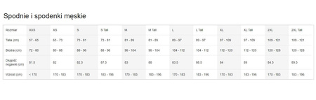 Spodenki Nike Dri-FIT Run Division Challenger