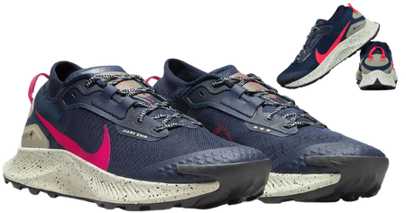 NIKE PEGASUS TRAIL 3 GTX
