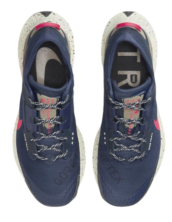 NIKE PEGASUS TRAIL 3 GTX