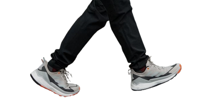 ADIDAS TERREX FREE HIKER 2.0 LOW GORE-TEX HIKING