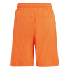 adidas Adventure Shorts