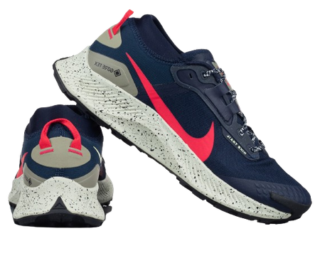 NIKE PEGASUS TRAIL 3 GTX