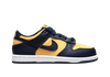 NIKE DUNK LOW (GS)
