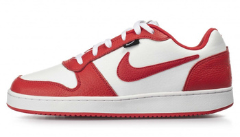 NIKE EBRNON LOW PREM