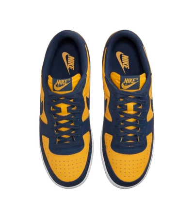 NIKE TERMINATOR LOW OG