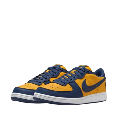 NIKE TERMINATOR LOW OG