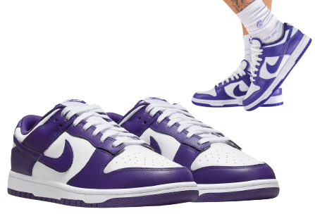 NIKE DUNK LOW RETRO