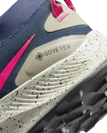 NIKE PEGASUS TRAIL 3 GTX