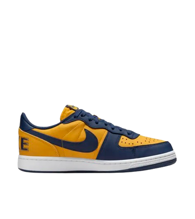 NIKE TERMINATOR LOW OG