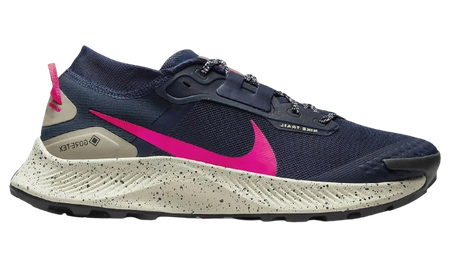 NIKE PEGASUS TRAIL 3 GTX