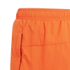 adidas Adventure Shorts