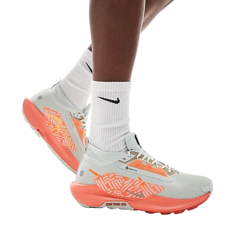 NIKE PEGASUS TRAIL 5 GTX