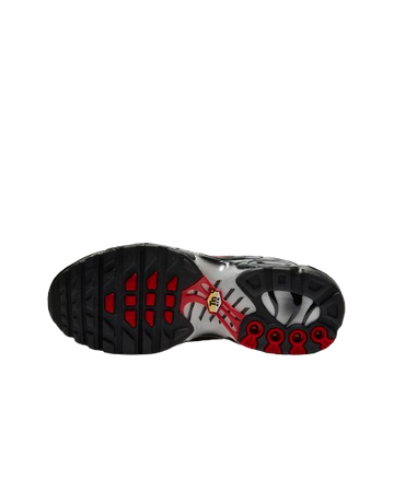 NIKE AIR MAX PLUS GS