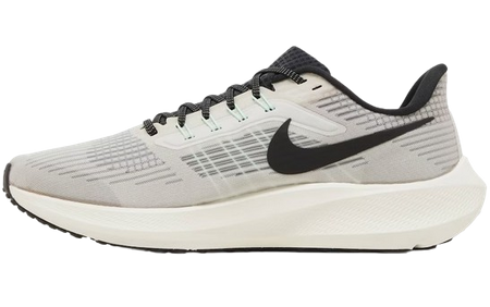 NIKE AIR ZOOM PEGASUS 39