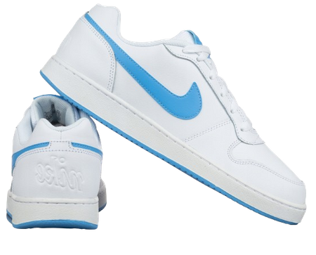 NIKE EBERNON LOW