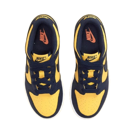 NIKE DUNK LOW (GS)