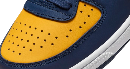 NIKE TERMINATOR LOW OG