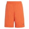 adidas Adventure Shorts