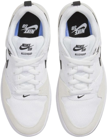 NIKE SB ALLEYOOP
