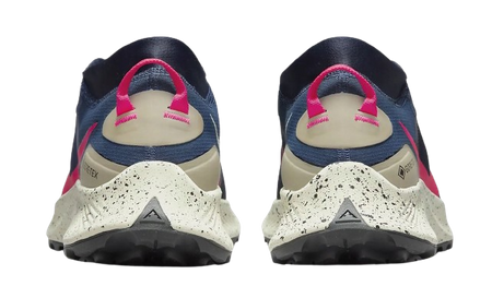 NIKE PEGASUS TRAIL 3 GTX