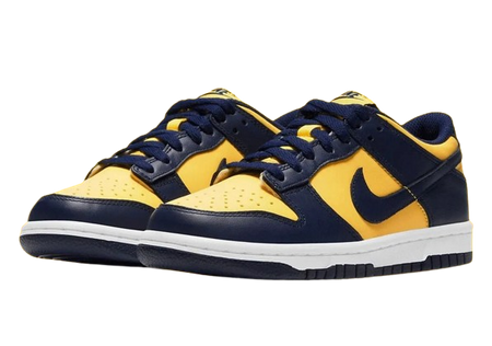 NIKE DUNK LOW (GS)