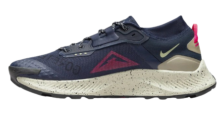 NIKE PEGASUS TRAIL 3 GTX