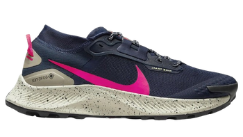 NIKE PEGASUS TRAIL 3 GTX